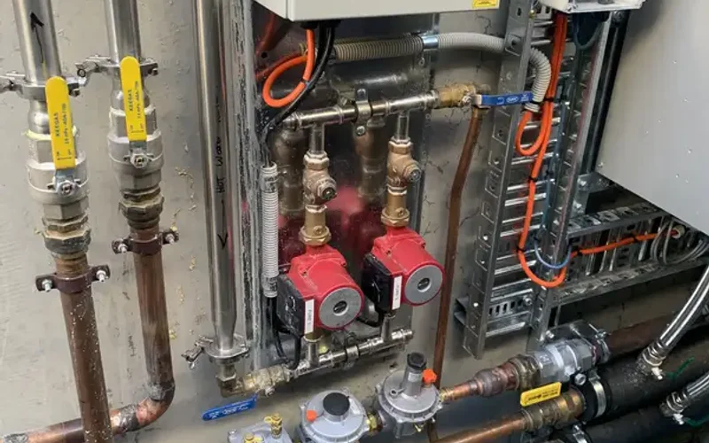 Pump and gas regulator system